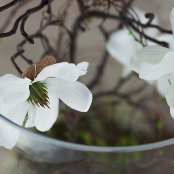 Květinová dekorace od Aranžérie, bílá magnólie ve váze-image-3