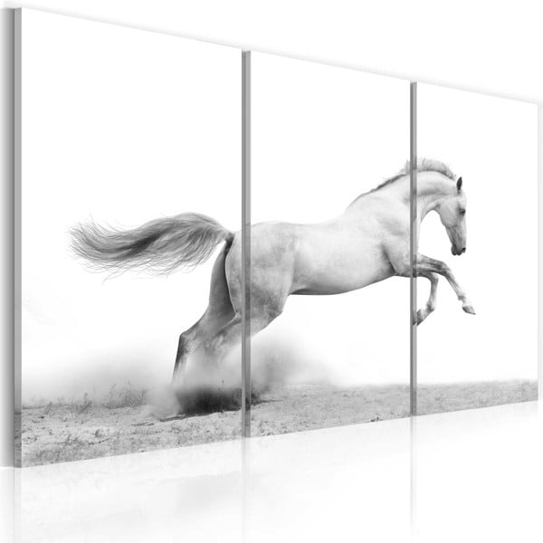 Obraz na plátně Bimago Horse, 60 x 40 cm