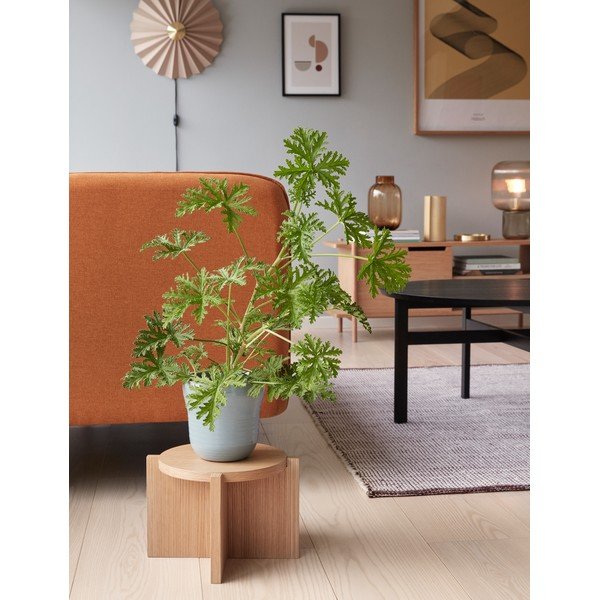 Бежова стенна лампа за контакт ø 48 cm Pliss – Hübsch-image-1