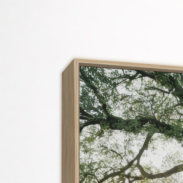 Картина 150x60 cm Tree in the Sun – knor-image-3