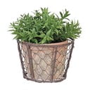 Телена кошница със саксия от теракота с отвор за оттичане Esschert Design - Esschert Design