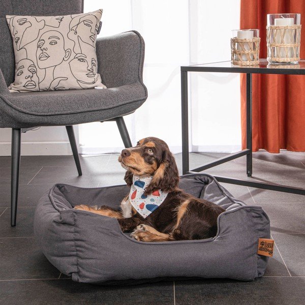 Синьо  легло за куче 50x55 cm – Love Story-image-1