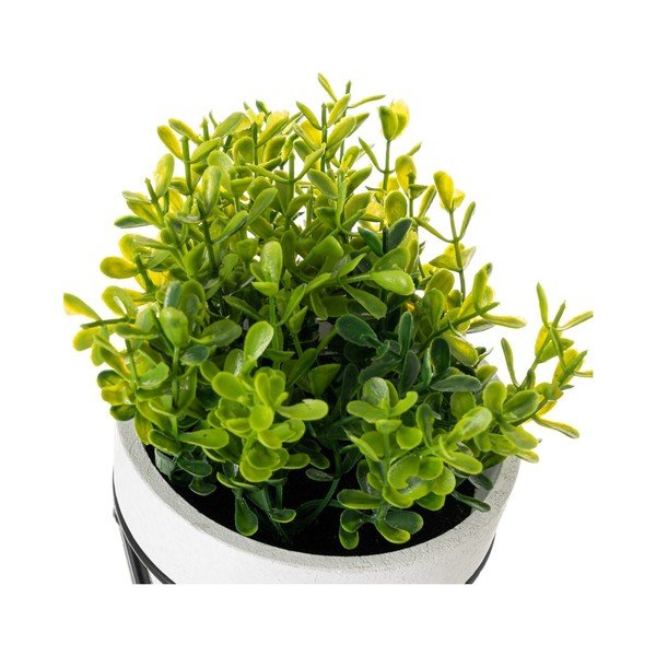 Изкуствени цветя в комплект от 4 - Casa Selección-image-3