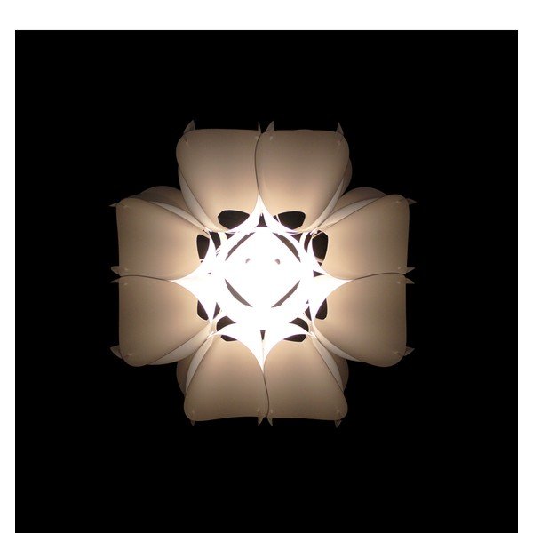 Stínidlo Orchid, large-image-4