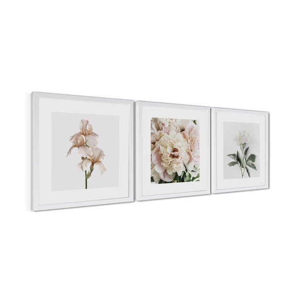 Печатни картини в комплект 3 бр. с включена рамка 30x30 cm Posy – Styler-image-4