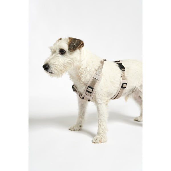 Бежова каишка S дължина 30 cm Modena Greige S – MiaCara-image-4