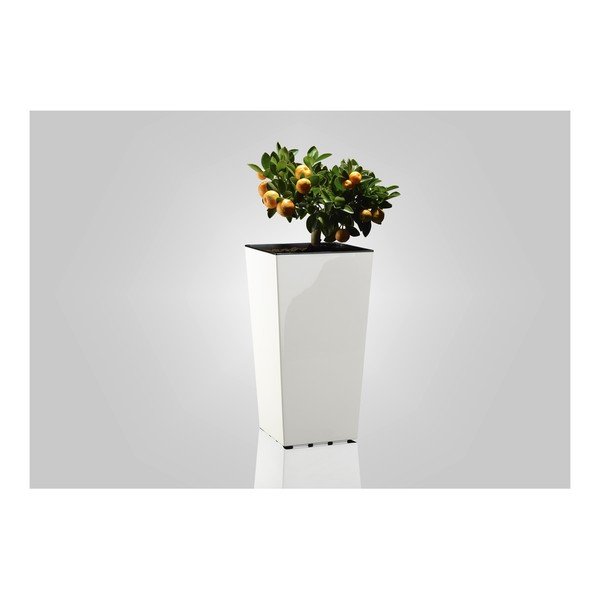Пластмасова саксия за цветя Elise – Gardenico-image-1