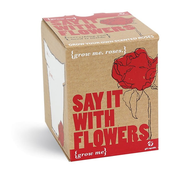 Pěstitelský set se semínky růže Gift Republic Say It With Flowers