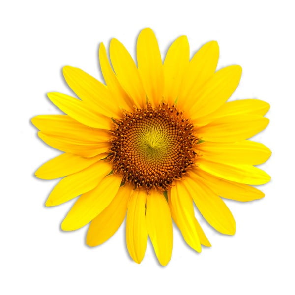 Декоративна подложка от юта Sunflower - Madre Selva