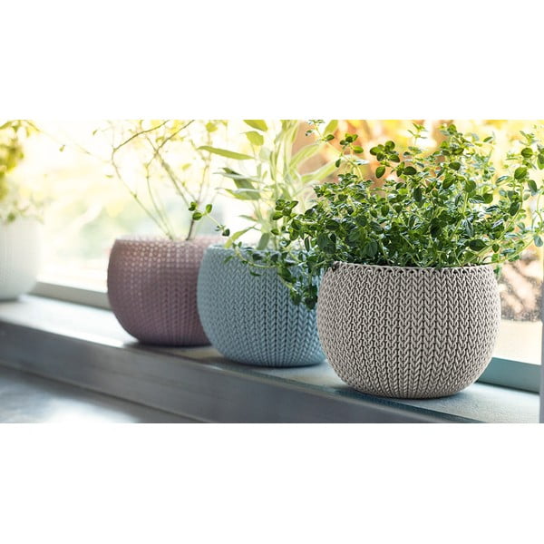 Пластмасови комплект саксии 3 бр. ø 15 cm Cozy – Keter-image-1