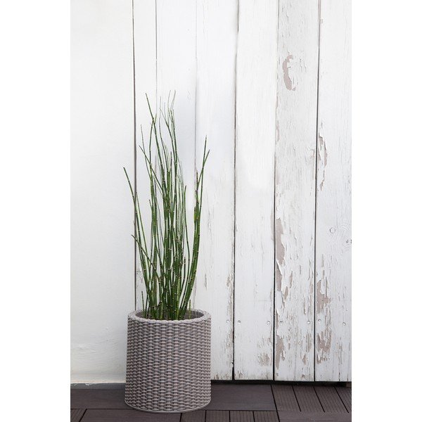 Пластмасова саксия за цветя ø 28 cm Cylinder – Keter-image-1