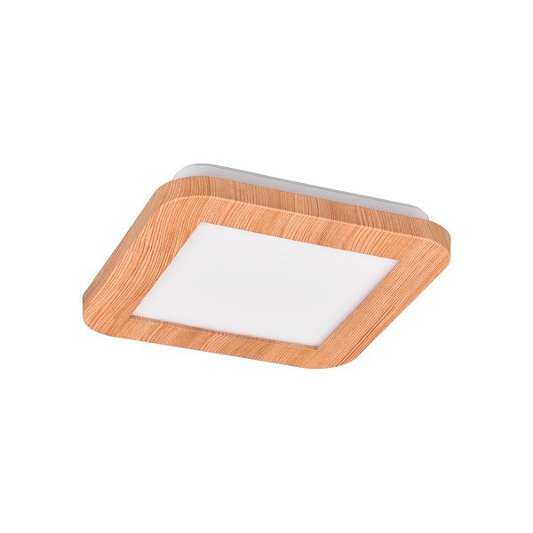 LED лампа за таван в естествен цвят 17x17 cm Camillus - Reality