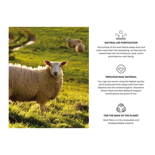 Светлосив вълнен килим 160x240 cm Talwin – Agnella-image-4