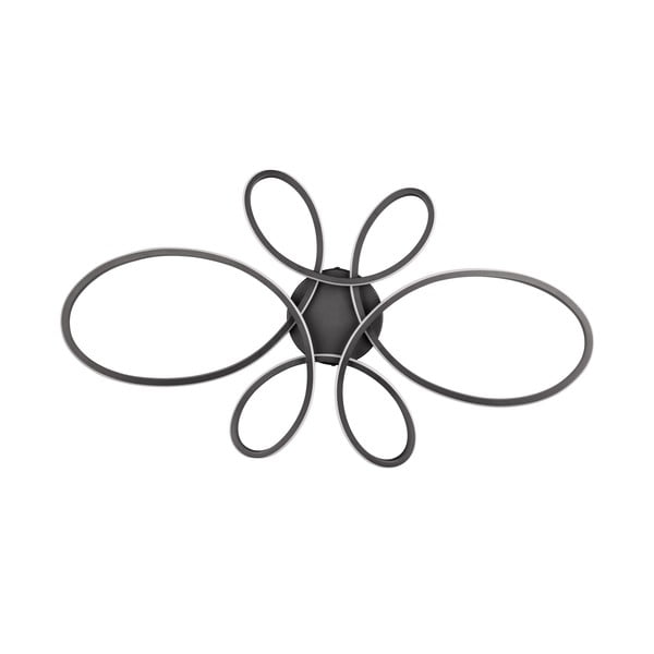 Черна LED светлина за таван 45,5x83 cm Fly - Trio-image-4