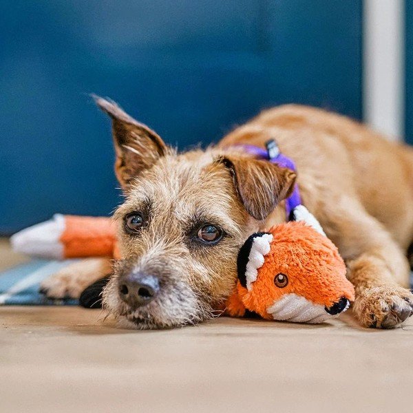 Играчка за куче Liška – P.L.A.Y.-image-1