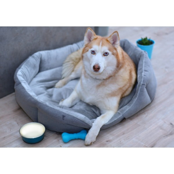 Сиво легло за домашни любимци за куче от флийс 70x90 cm Alík – Petsy-image-1