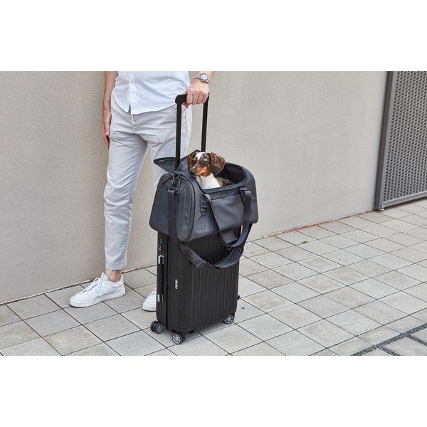 Чанта за транспортиране за куче 28x55 cm Volata Asphalt S/M – MiaCara-image-2