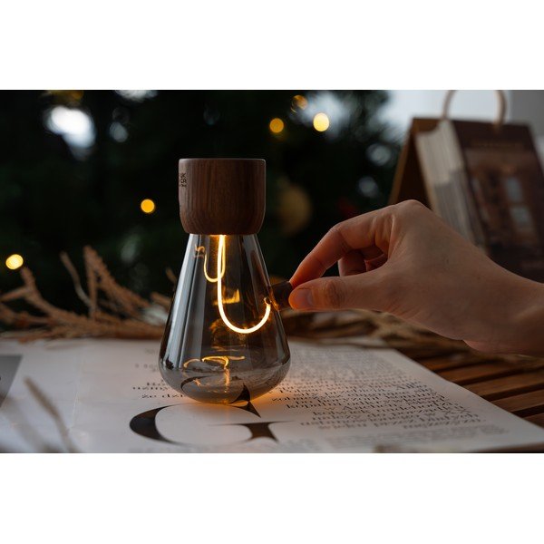 Преносима светлинна декорация с USB ø 7 cm Opal – Gingko-image-1