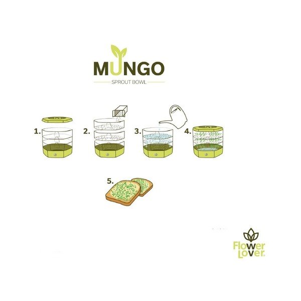 Пластмасова купичка за покълване ø 17 cm Mungo – Flower Lover-image-2