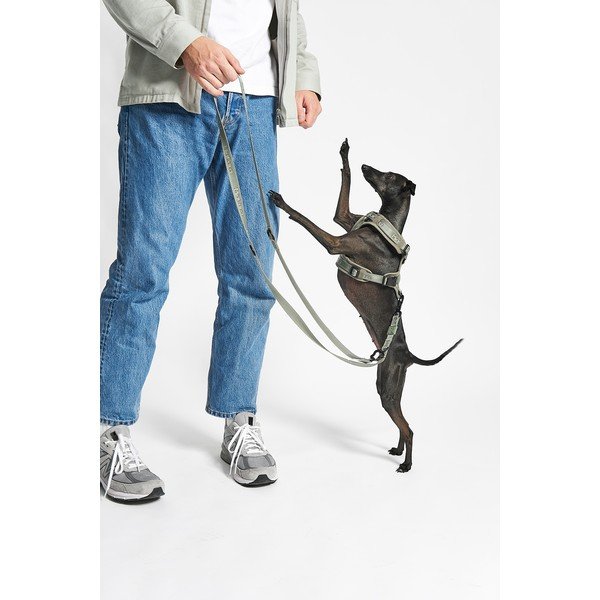 Зелена каишка XS дължина 25 cm Modena Grolive XS – MiaCara-image-2