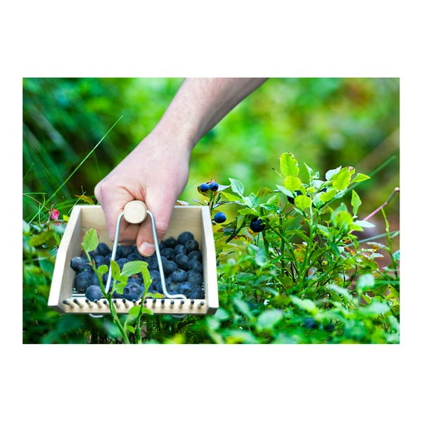 Česač borůvek z bukového dřeva Esschert Design Pond-image-2