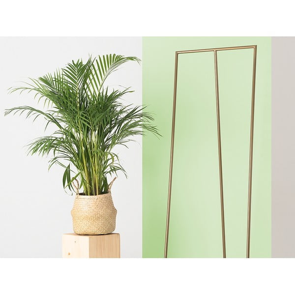 Метална закачалка в златист цвят Zet - CustomForm-image-2