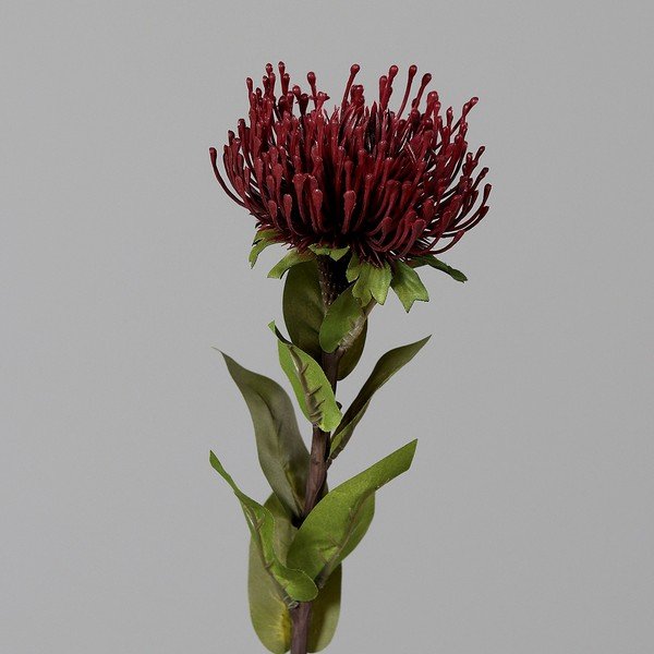 Изкуствено цвете (височина 74 cm) Protea – Ego Dekor