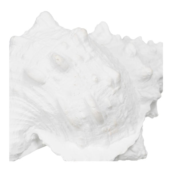 Статуя от полиресин (височина 12 cm) Seashell – Ixia-image-1