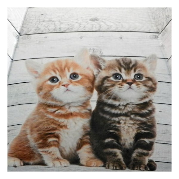 Deštník Scaffold Wood Kittens Red-image-1