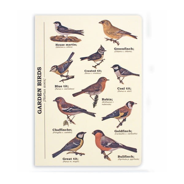 Zápisník Gift Republic Garden Birds, vel. A5