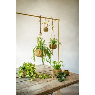 Саксия за цветя ø 9 cm Kokedama – Esschert Design
