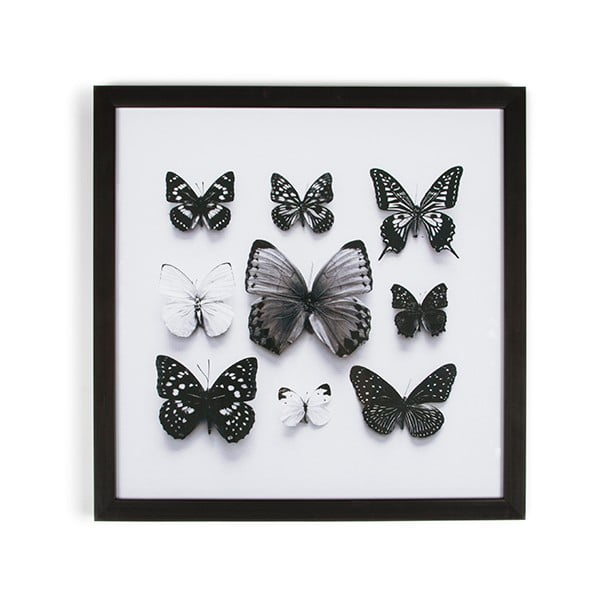 Obraz v rámu Graham & Brown Butterfly Studies, 50 x 50 cm