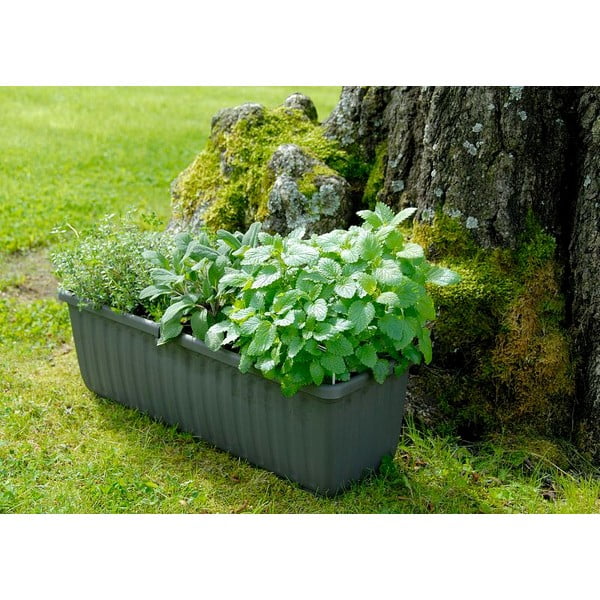 Антрацитно сива самонапояваща се саксия, дължина 80 см Siesta - Plastia-image-1