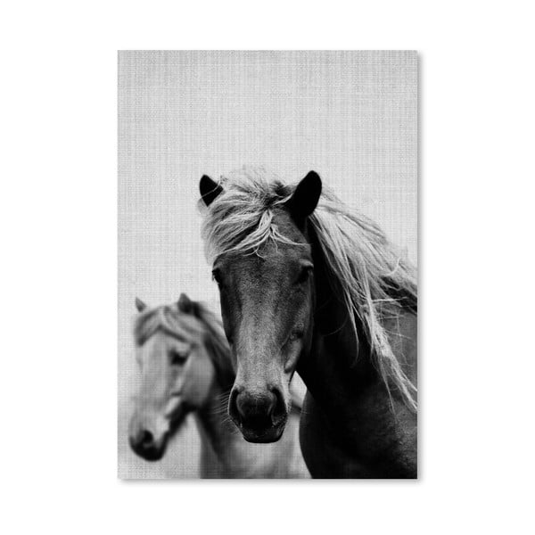 Plakát Wild Horses