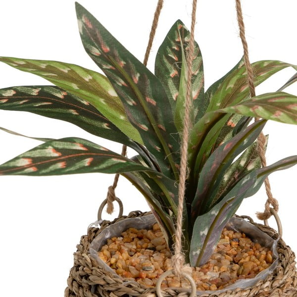 Изкуствено растение (височина 25 cm) – Casa Selección-image-1