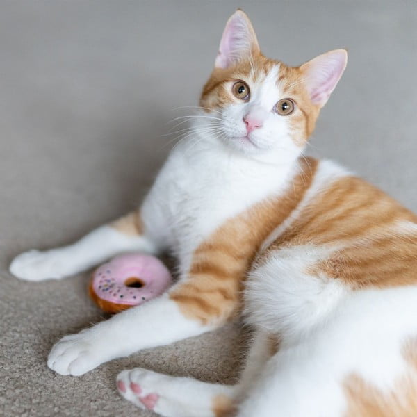 Играчки за котки в комплект от 3 Donuts - P.L.A.Y.-image-2