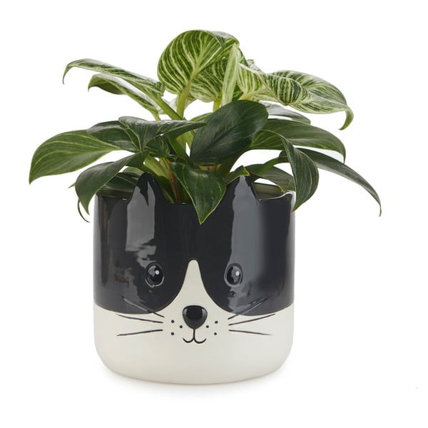 Керамичен съд ø 13,5 cm Kitty - Balvi-image-1