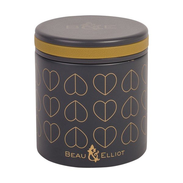 Termoska na jídlo Navigate Dove, 400 ml-image-1