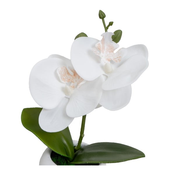 Изкуствени растения в комплект от 3 бр. (височина 15 cm) Orchid – Casa Selección-image-1