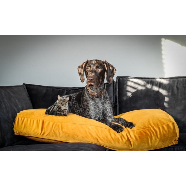 Жълто легло 55x80 cm - Madison-image-1