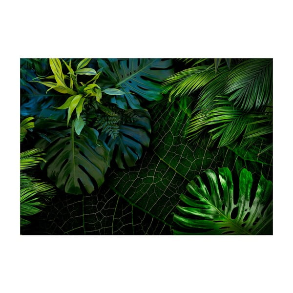 Широкоформатен тапет , 400 x 280 cm Dark Jungle - Artgeist