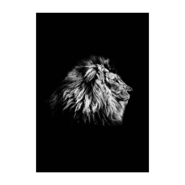 Плакат Лъв, 40 x 30 cm - Imagioo