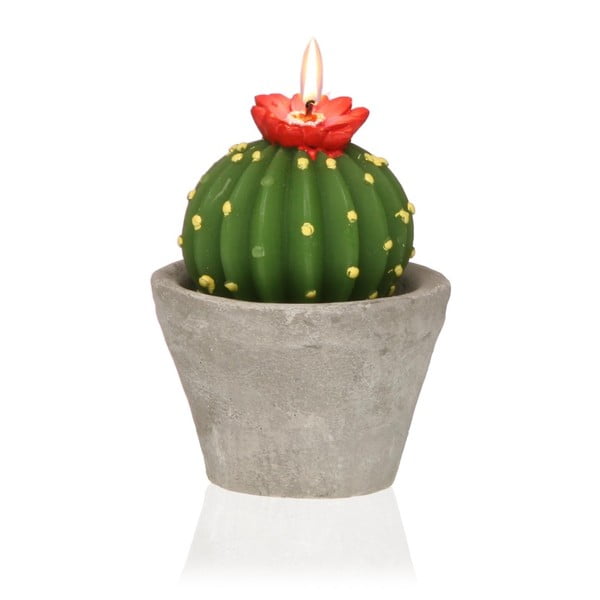 Декоративна кактусова свещ Cactus Emia - Versa