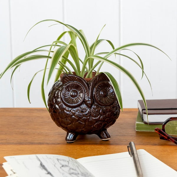 Керамично покритие за кашпа ø 11 cm Owl – Rex London-image-2