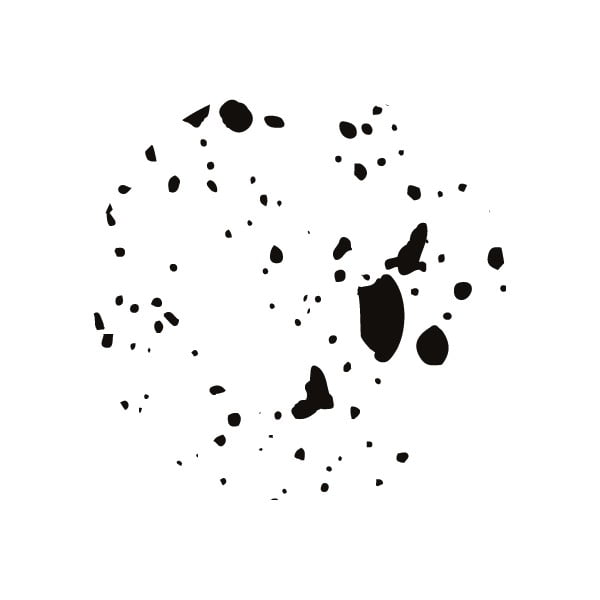 Черно-бяла кутия за чекмеджета с 2 отделения Birger - Bigso Box of Sweden-image-4