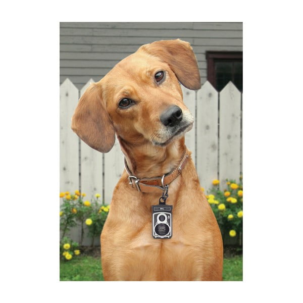 Dávkovač na odpadkové pytle Rolldog-image-1