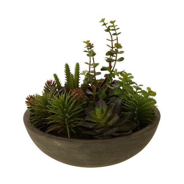 Изкуствен сукулент в саксия Fiori - Premier Housewares-image-1