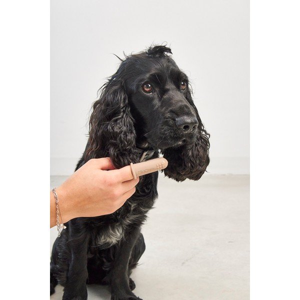 Четки за зъби за кучев комплект Dito – MiaCara-image-2