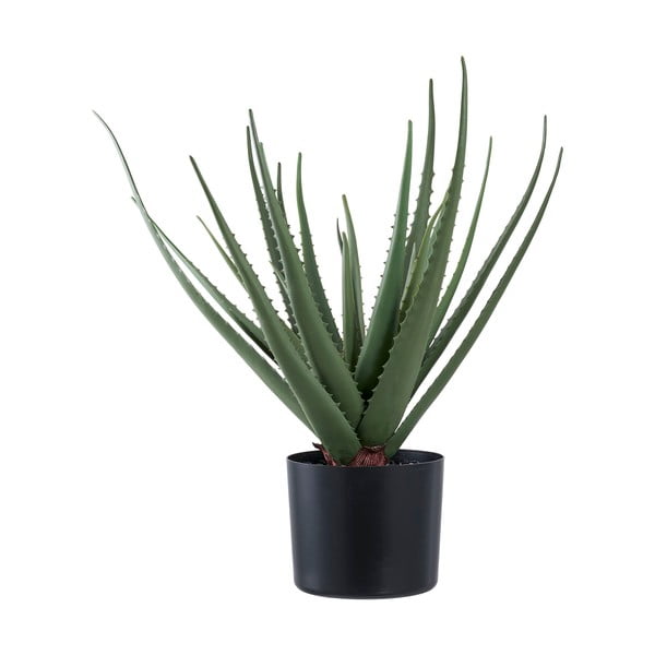 Изкуствено растение (височина 51 cm) Aloe Vera – House Nordic