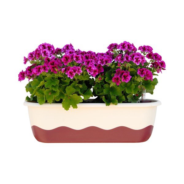 Бяло-розова самонапоителна саксия Mareta, дължина 80 cm - Plastia-image-1